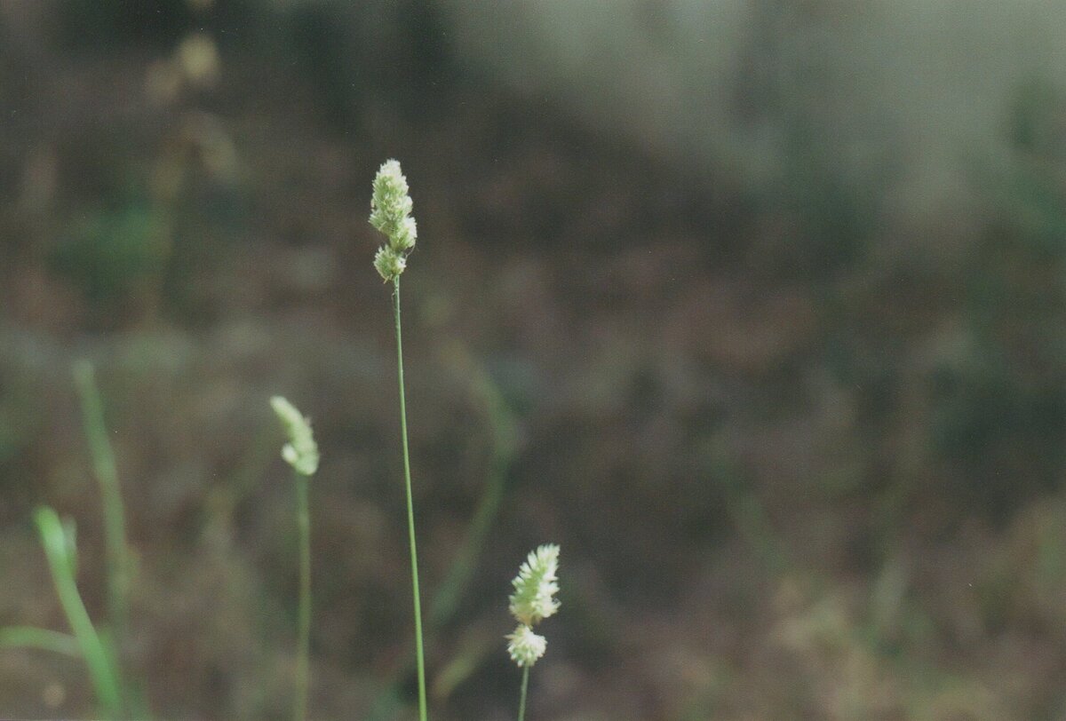 Листайте галерею, чтобы увидеть больше фотографий.