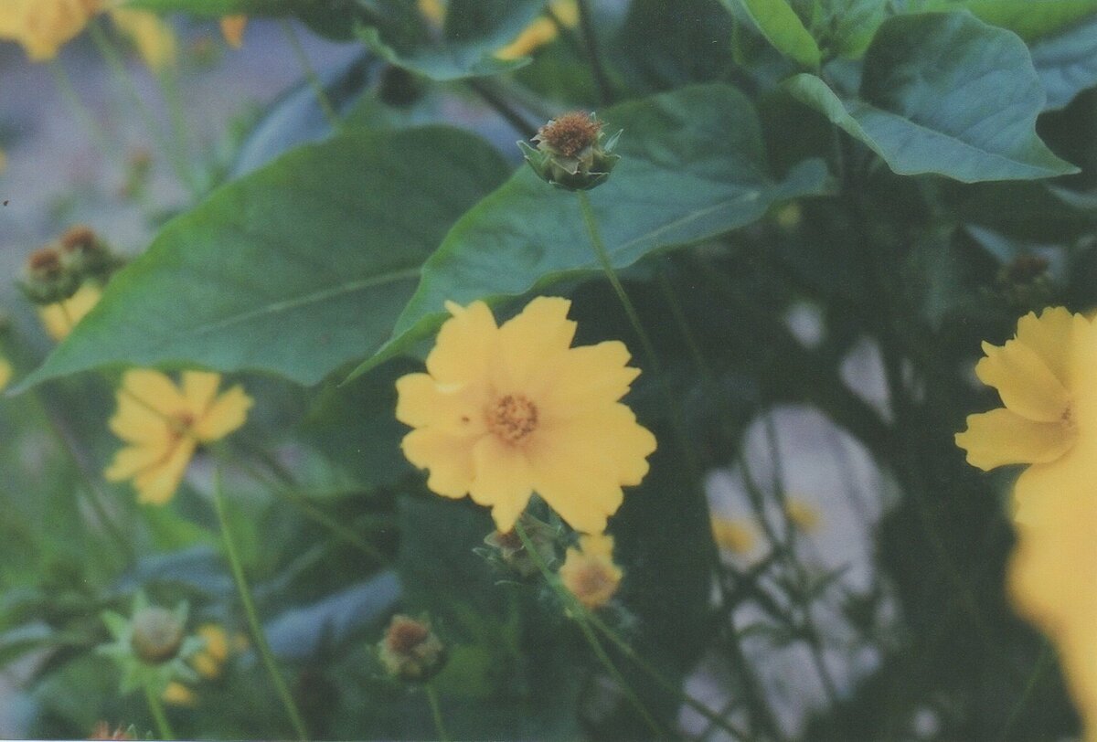 Листайте галерею, чтобы увидеть больше фотографий.