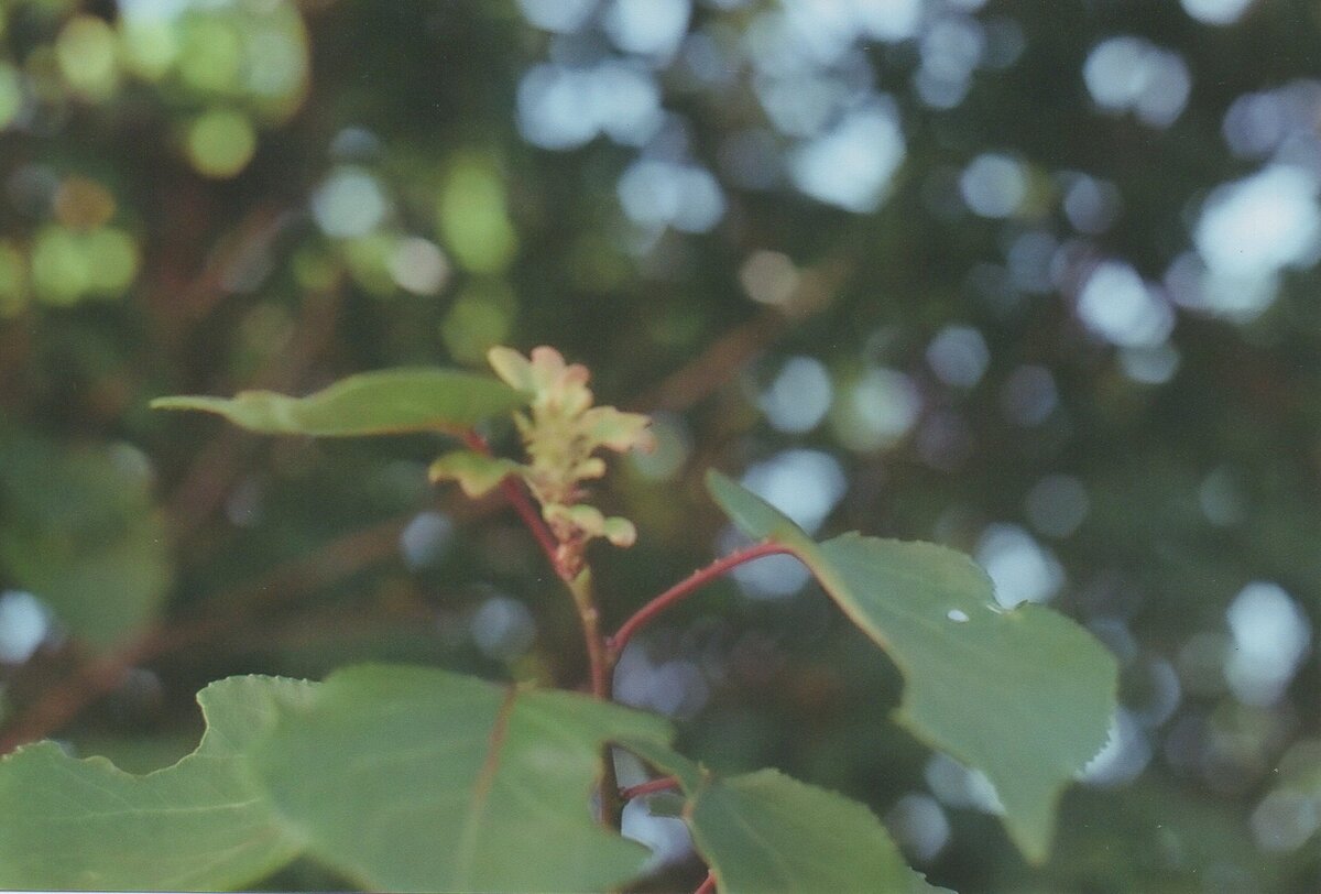 Листайте галерею, чтобы увидеть больше фотографий.