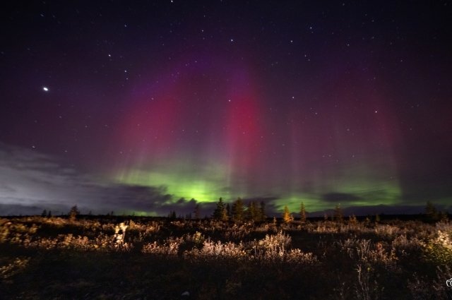    Красное свечение видно в основном только на больших высотах, от 150 км и выше.