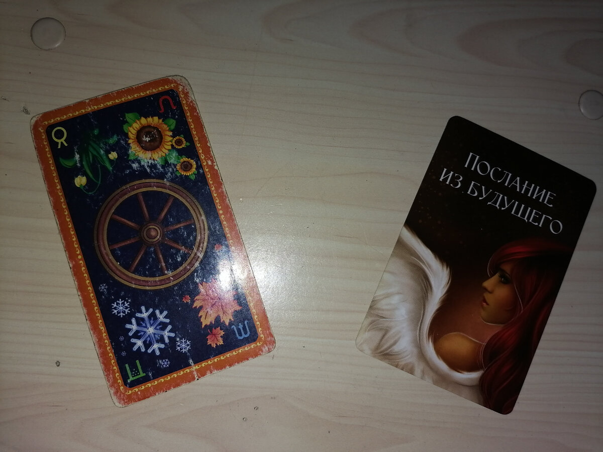 Фото автора.