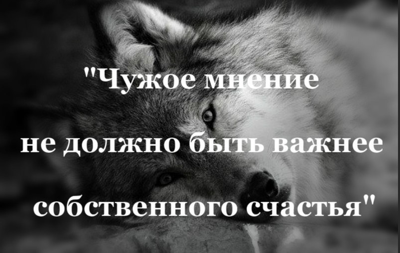 Зачем другие люди. Чужое мнение. Чужое мнение цитаты. Афоризмы про чужое мнение. Цитаты про свое мнение.