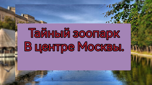 Частный зоопарк на Чистых прудах. Впечатления неоднозначное...