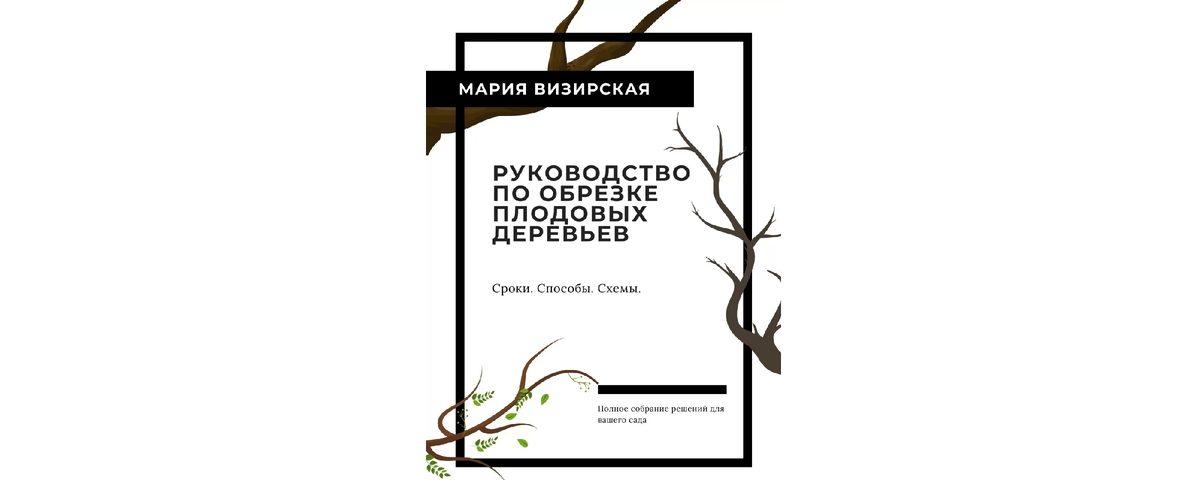 В Орле вывели новый сорт вишни + 4 самых популярных сорта