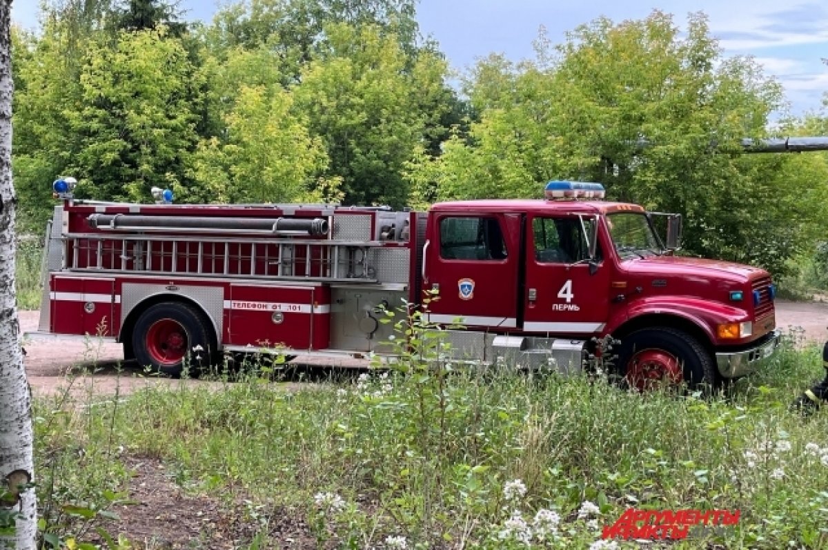    Мощный пожар встревожил местных жителей.