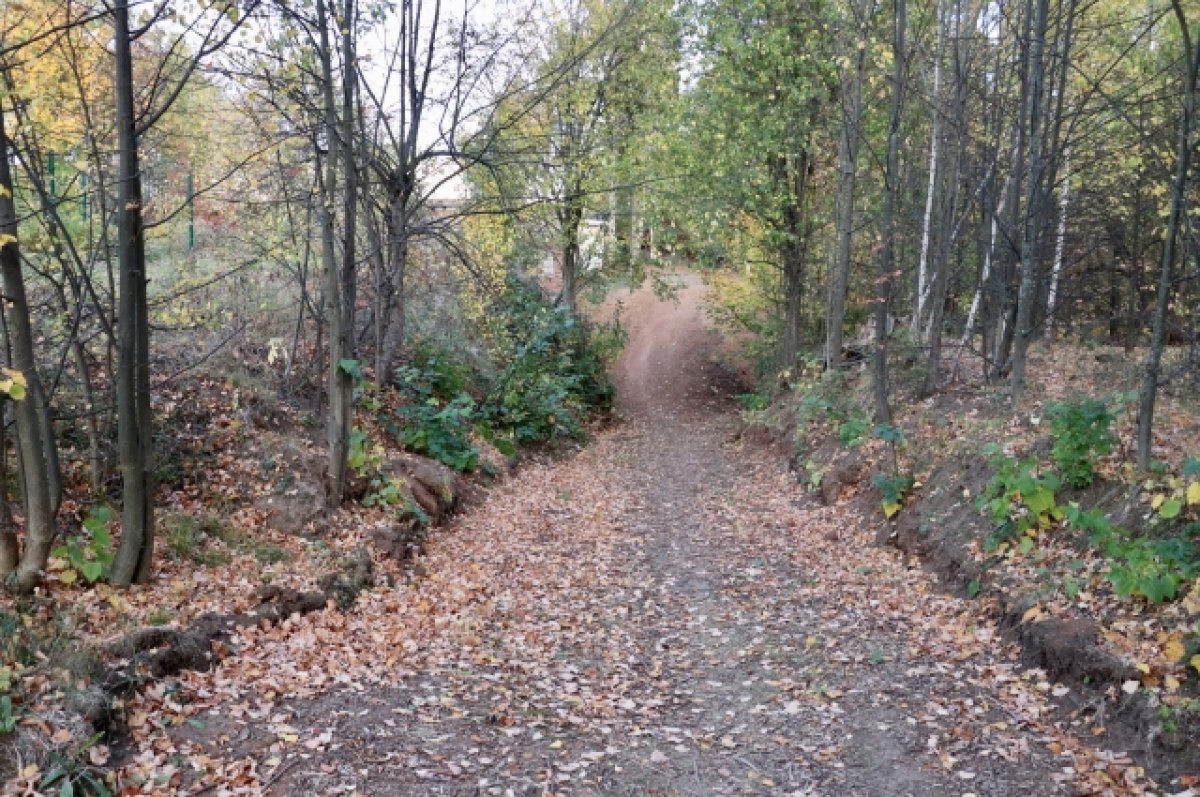    В Ленинском парке Сарапула появилась тропа здоровья