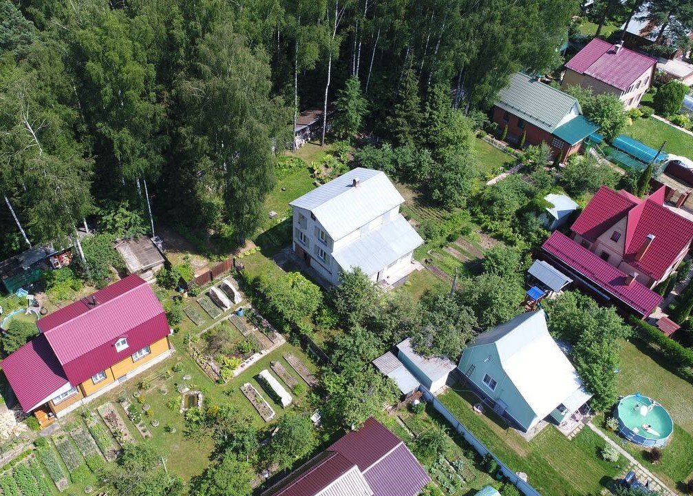    Фото: Пресс-служба Комитета лесного хозяйства Московской области
