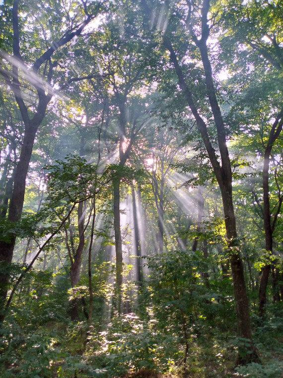 29 Августа 2016 г.