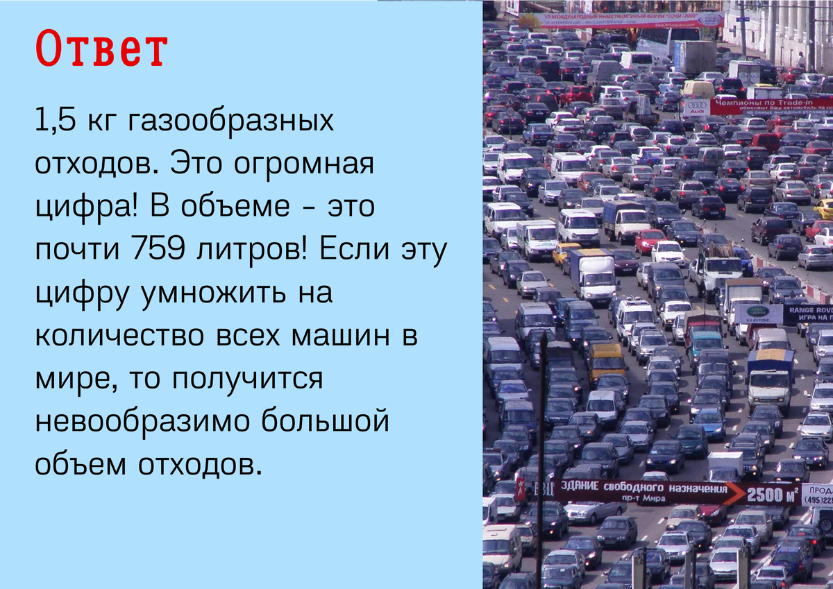 Викторина «Экология: секунды до катастрофы» | Челябинская Публичная  библиотека | Дзен