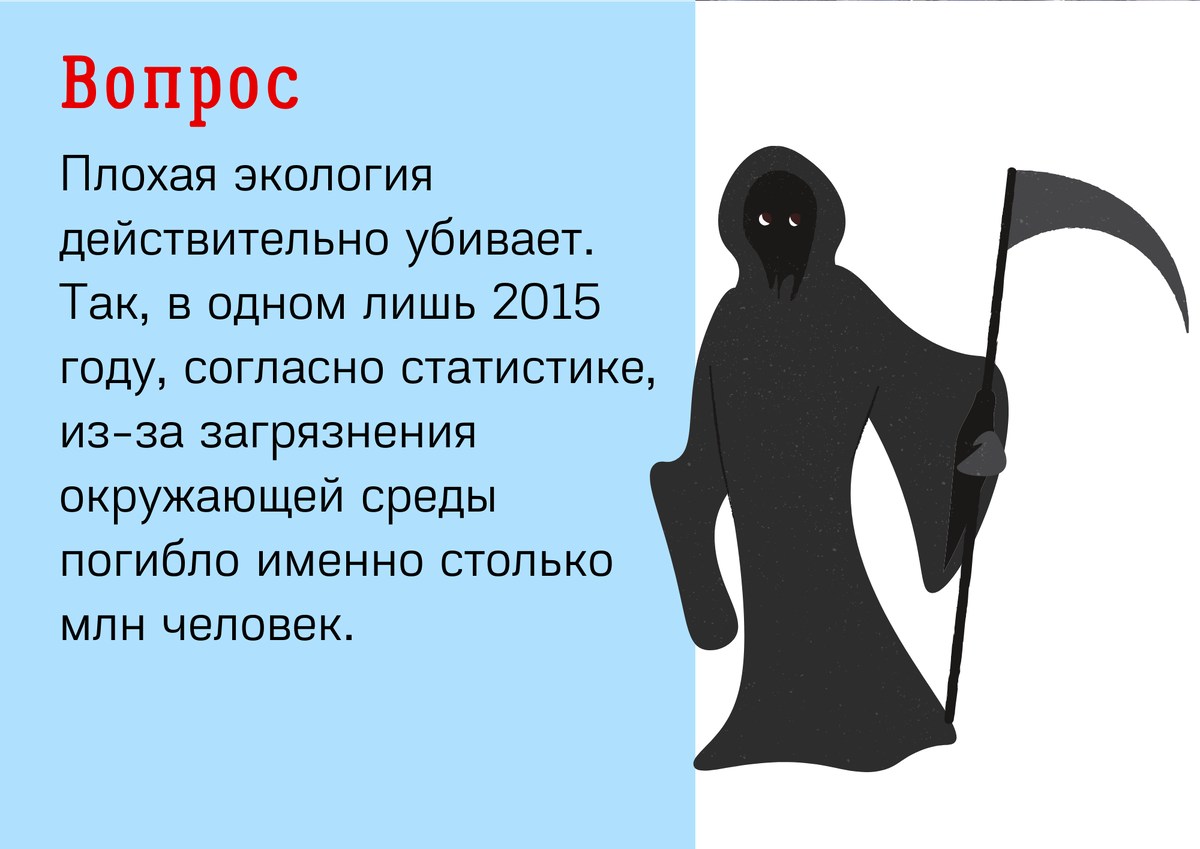 Викторина «Экология: секунды до катастрофы» | Челябинская Публичная  библиотека | Дзен