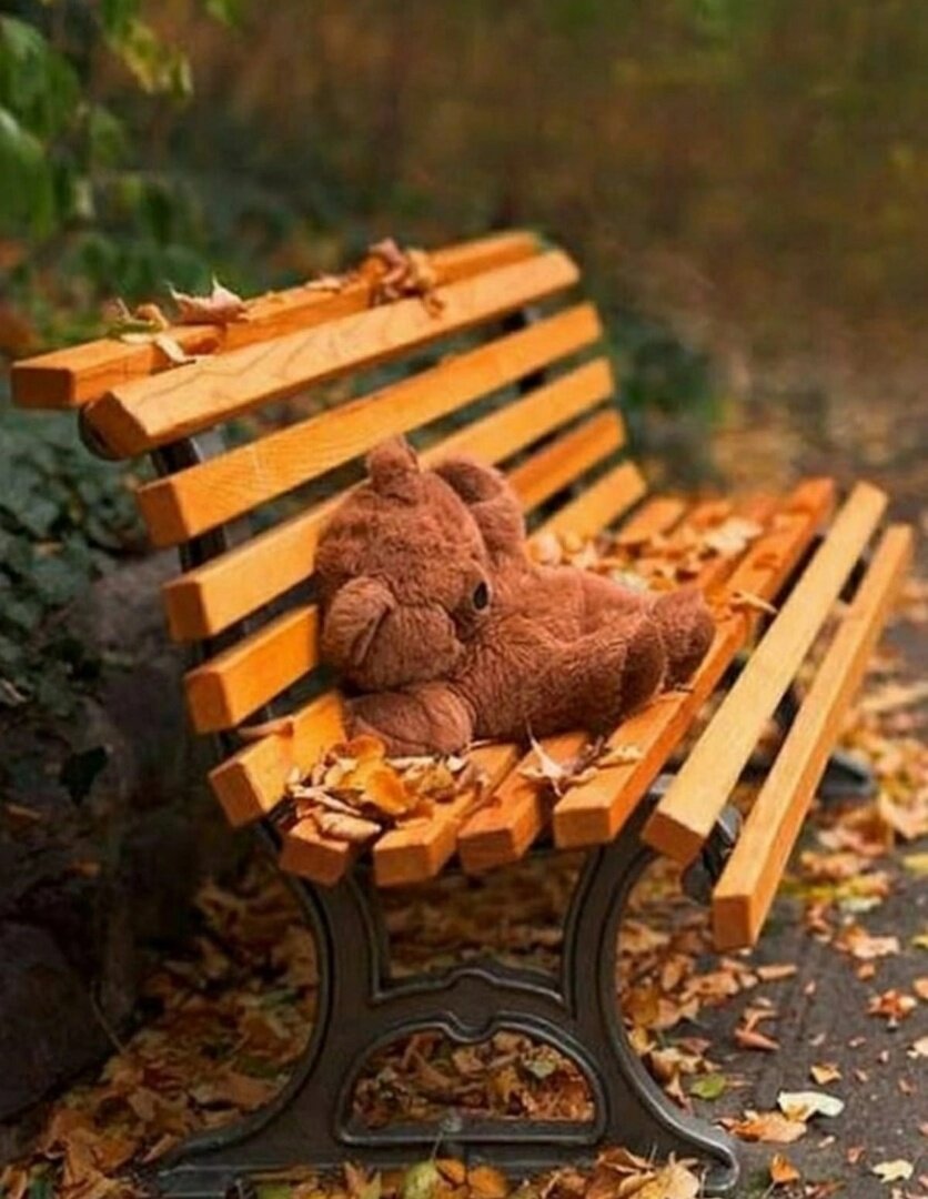 иллюстрация из яндекс картинки.