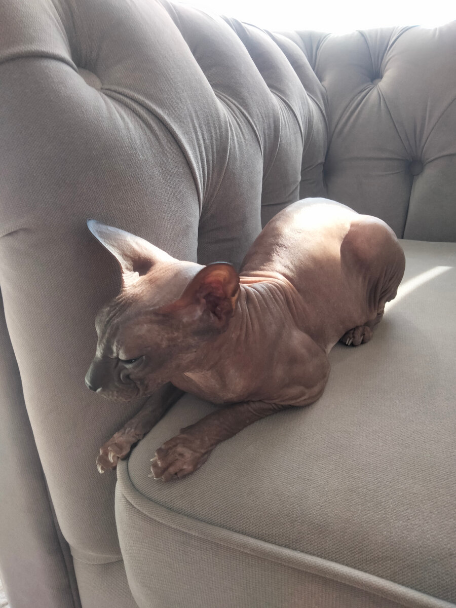 Василиса Степанановна