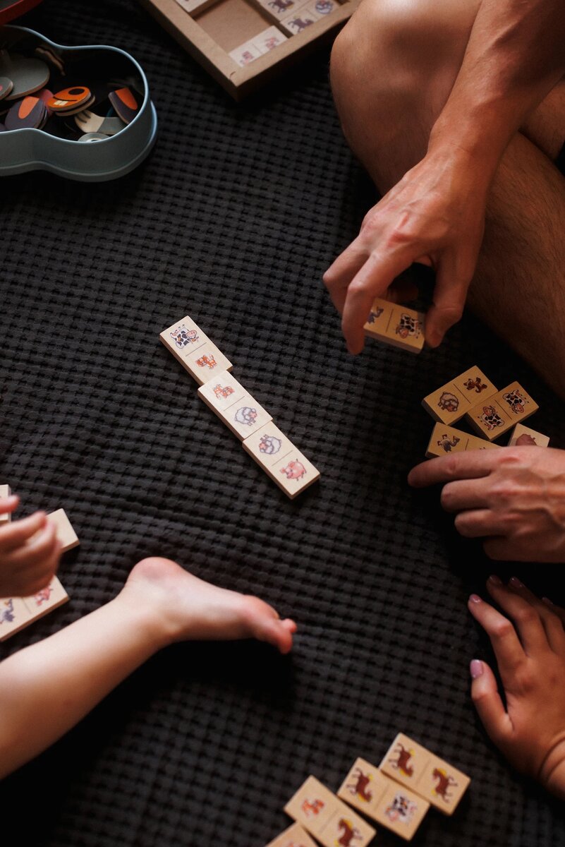 Любим всей семьей играть в домино