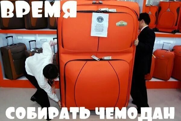 Картинка из свободного доступа в интернете 