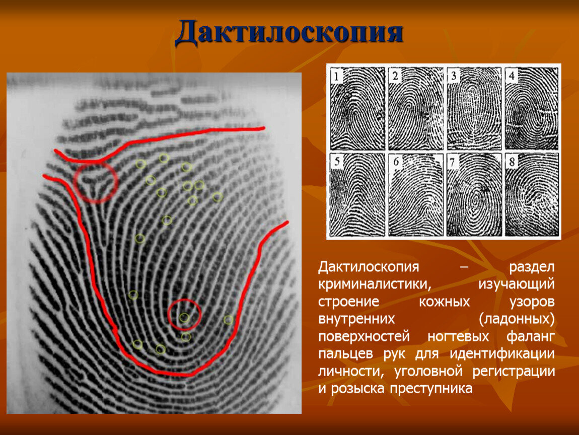 Дактилоскопия картинки для презентации