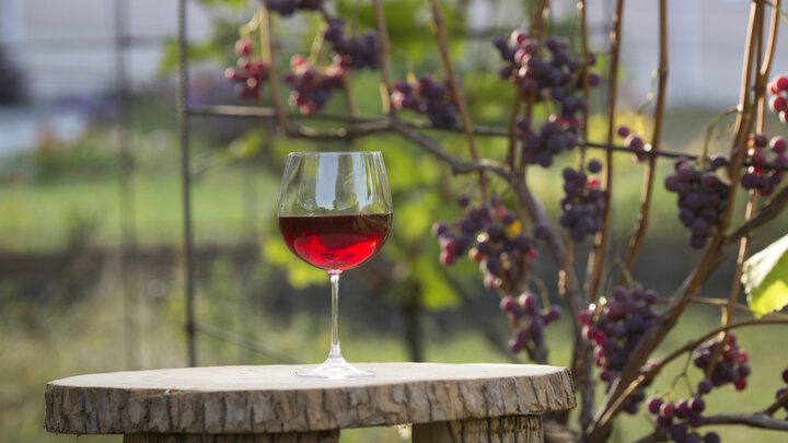 ФОТО: NIKOLAY GYNGAZOV/GLOBALLOOKPRESS