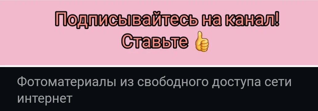 Видеоматериалы из свободного доступа Ютуб 