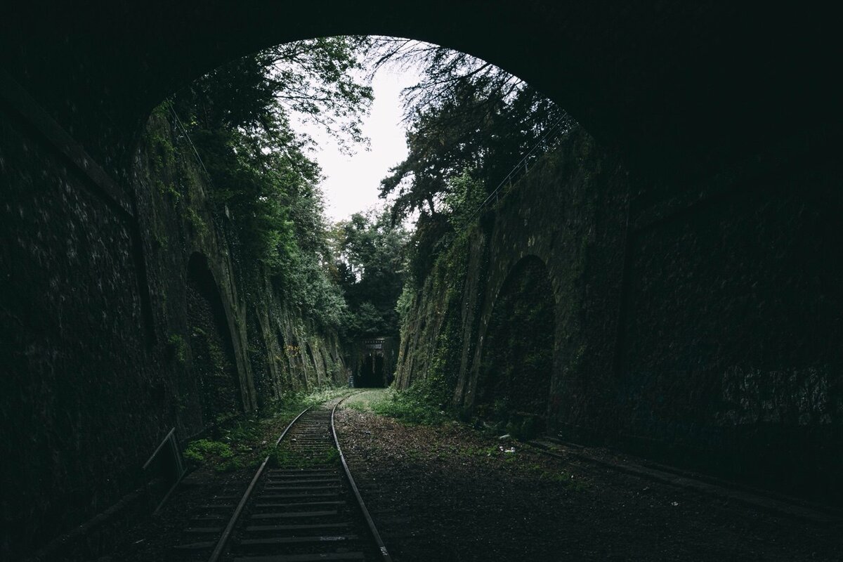 Просторы интернета.