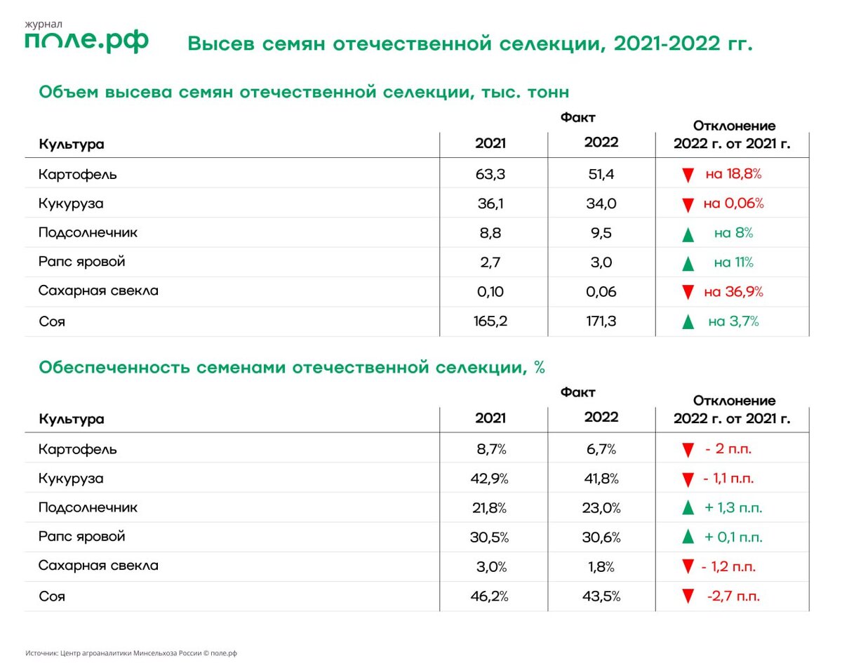 В поле — через локализацию. Что изменится с принятием новых правил  семеноводства | поле.рф | Дзен