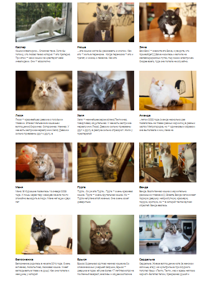 Приют Мурчашка