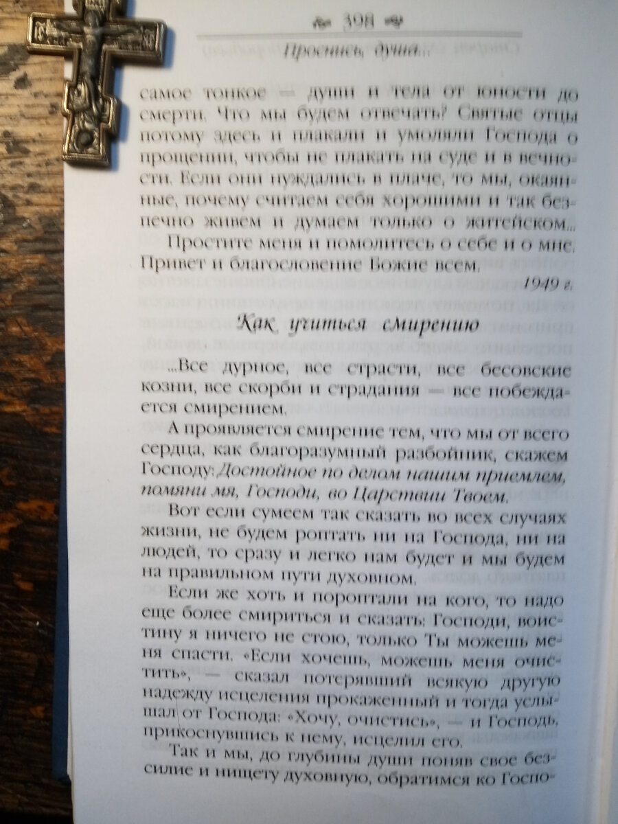 Проснись душа. Советы и наставления святых. Старец схигумен Никон (Воробьев)