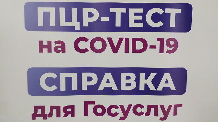 Хотите правду о ковиде? Тогда послушайте и о череде катастроф: Войны сменит голод