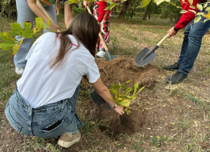    В Камышине прошла акция «Аллея Первых» (фото пресс-службы городской администрации)