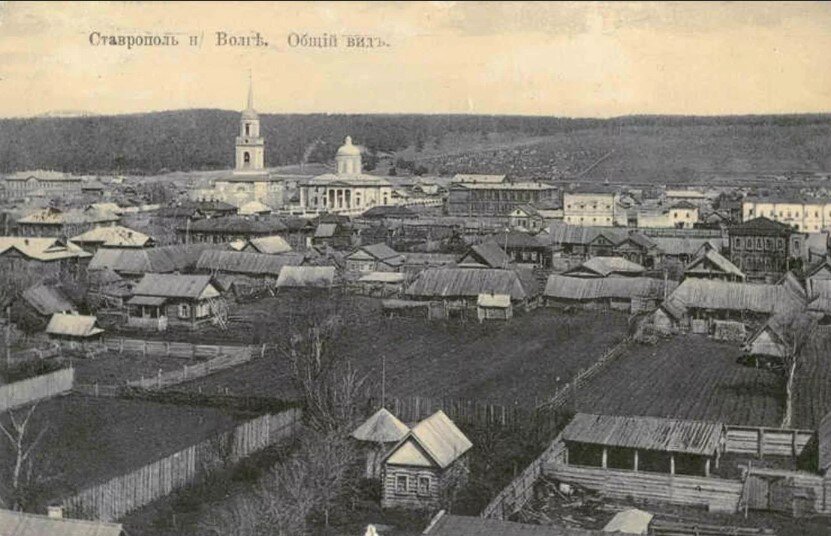 Фото: https://humus.livejournal.com/5565823.html