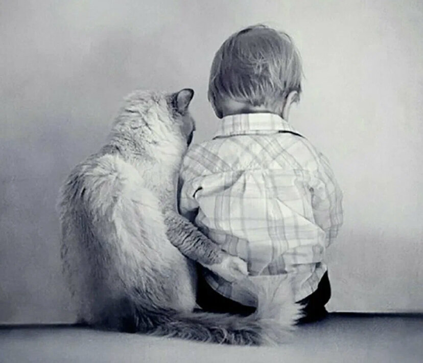 Страх делает нашу жизнь серой