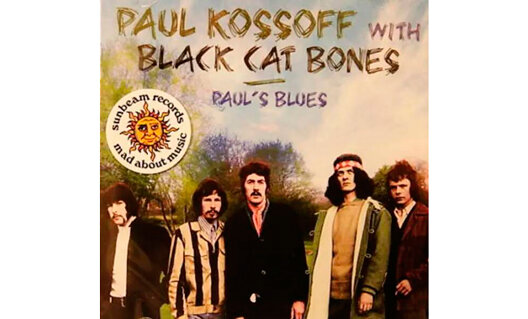Black cat bone. Black Cat Bones - barbed wire Sandwich (1969). Black Cat Bones Band. Black Cats группа.