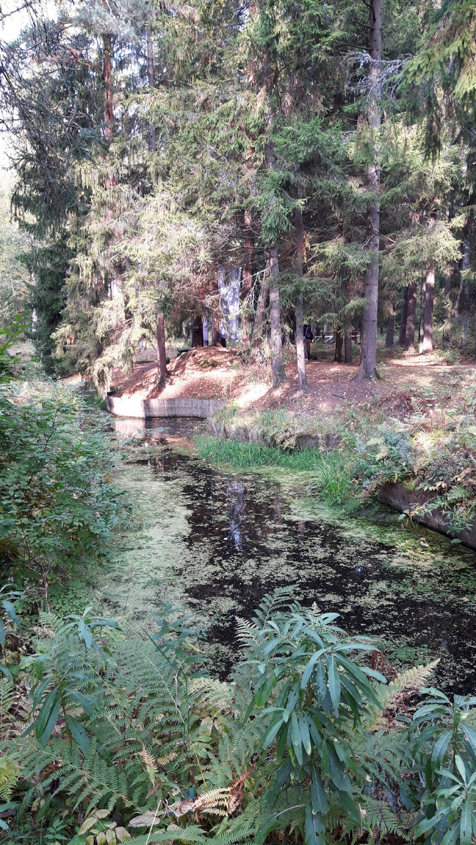 Усадьба Репина "Пенаты". Ленинградская обл. Репино.