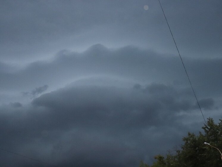     Фото: архив "МК в Калуге"