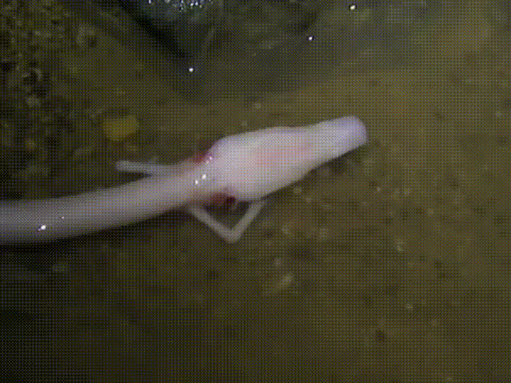 Выползаю из своей комнаты на кухню после ссоры с мамой.