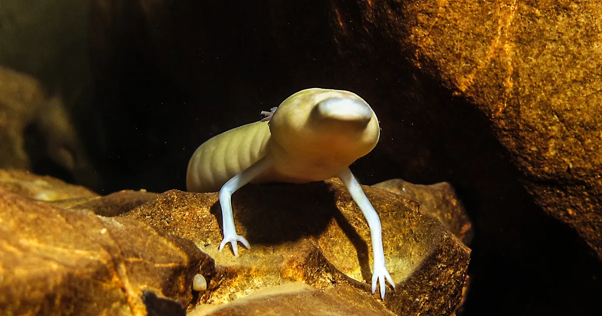 Я не вижу, что ты меня боишься. Я это чую. 