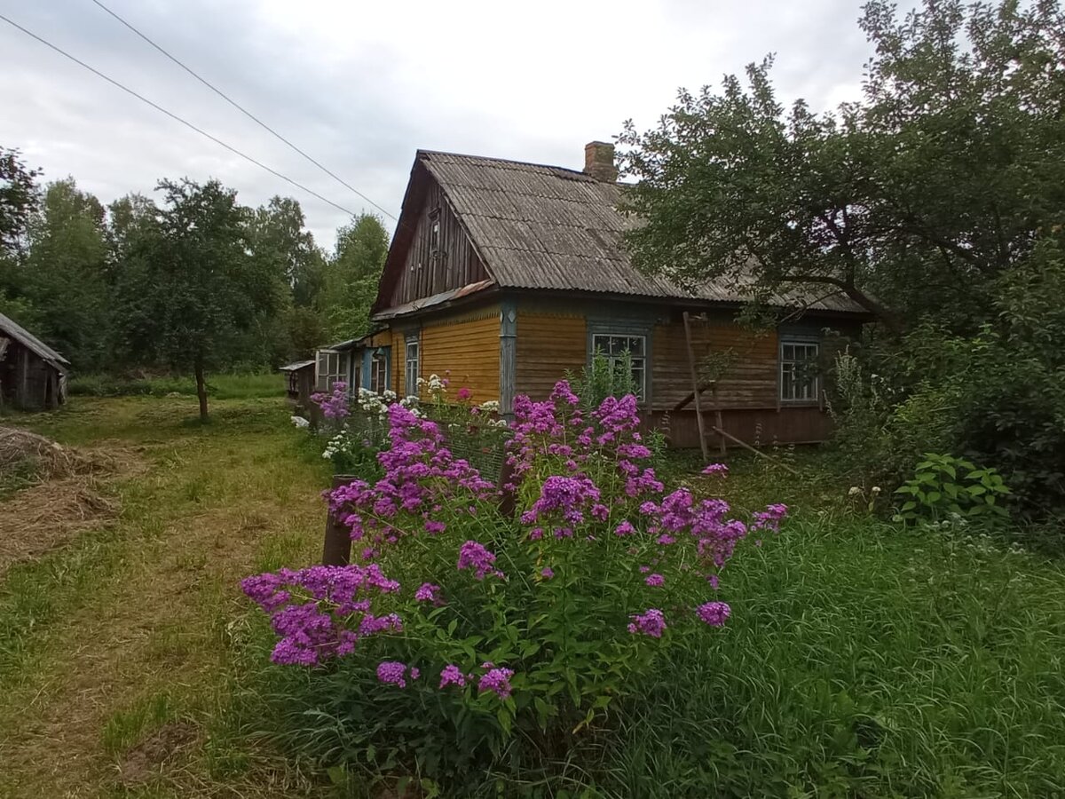 Отдых в БЕЛАРУСИ. Очарование природы