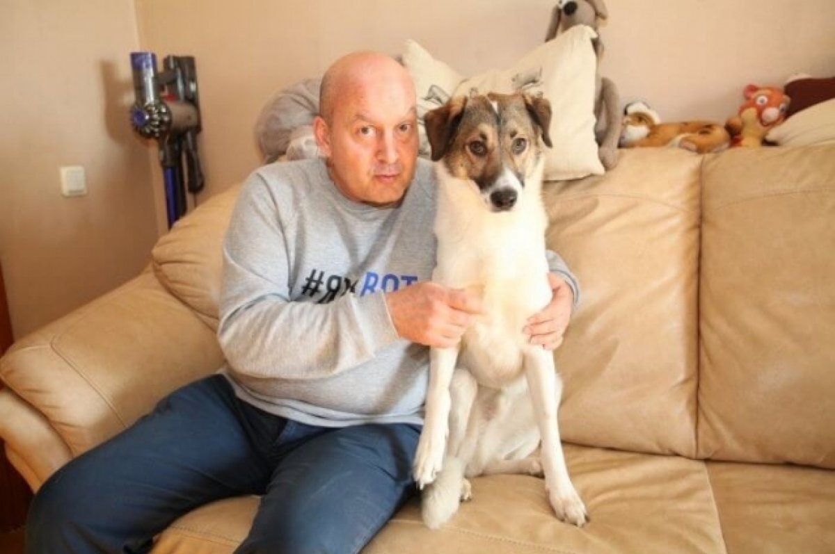    SHOT: пес умершего Вячеслава Гришечкина продолжает ждать своего хозяина