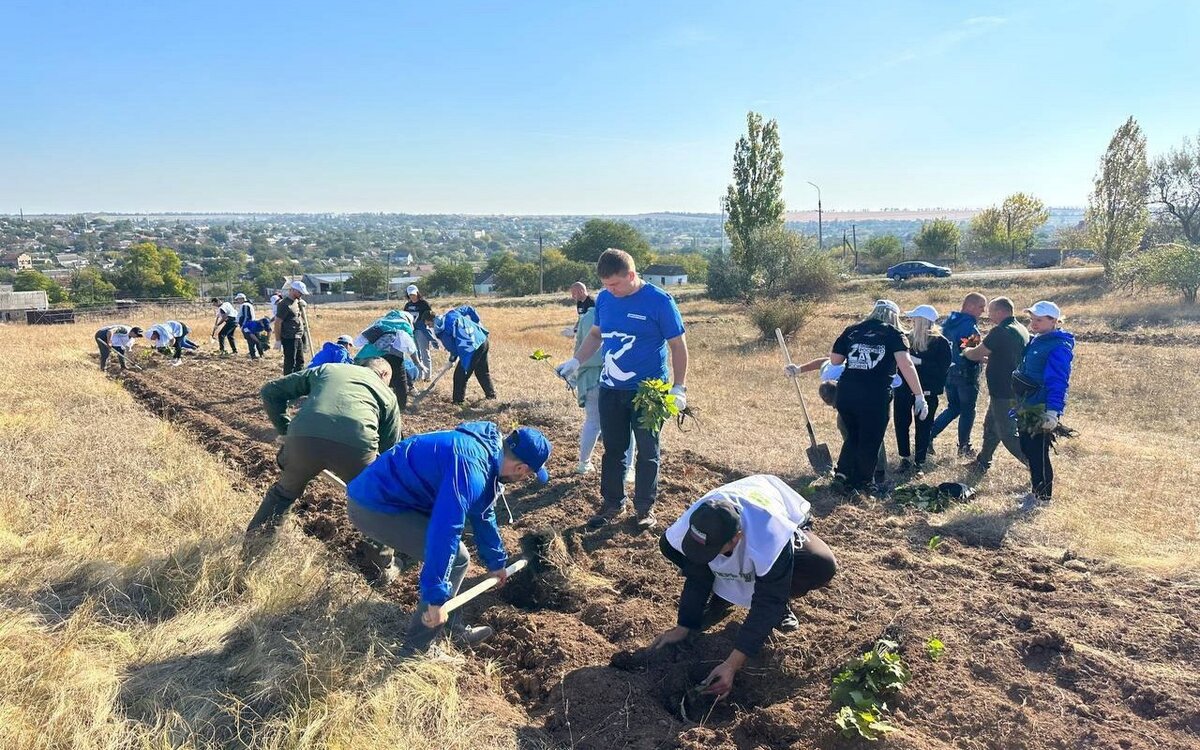    Куряне заложили в ДНР геоглиф #МЫВМЕСТЕ