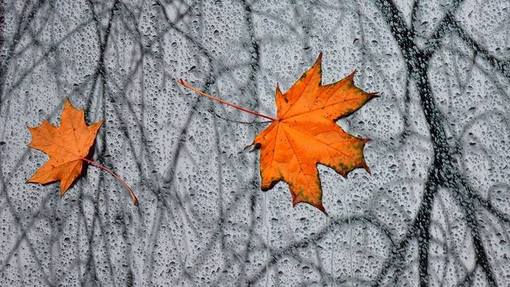  Фото: Игорь Иванко / АГН Москва