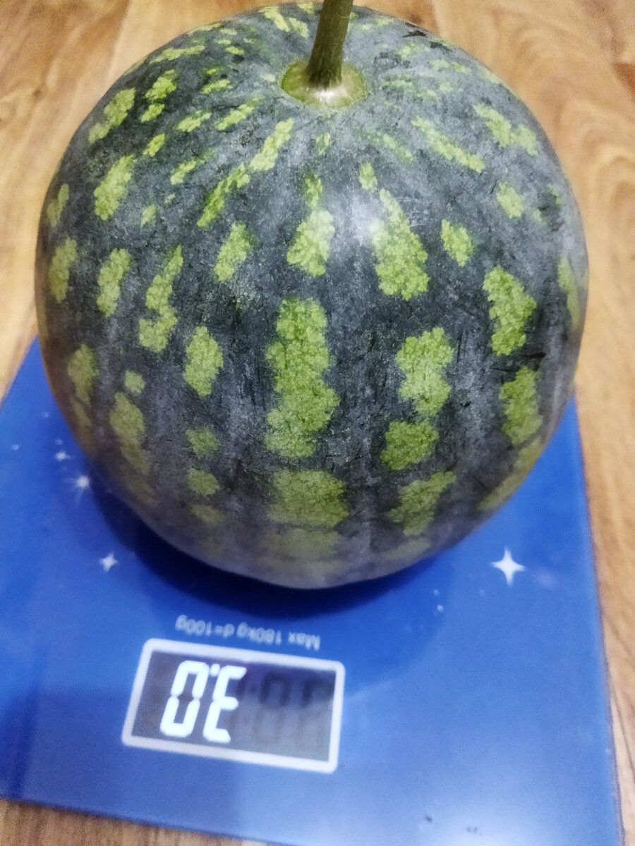 Вот он наш красавец