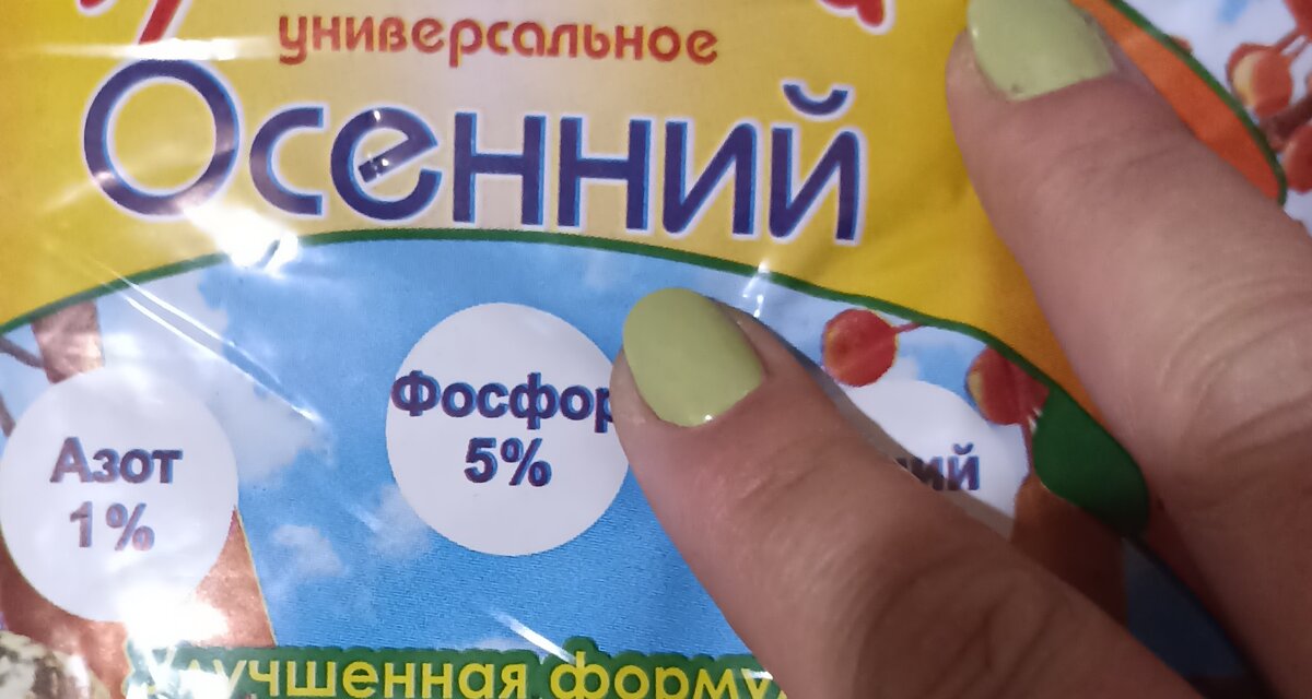 Фото из личного архива