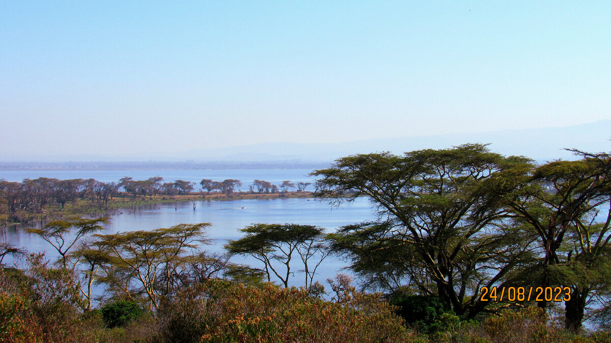 Где-то тут динозавры😁