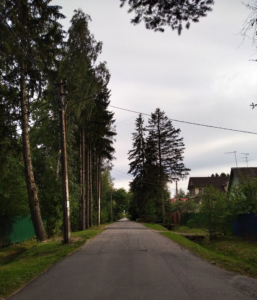 Говорят, дача здесь стоит дороже, чем средняя «однушка» в Петербурге