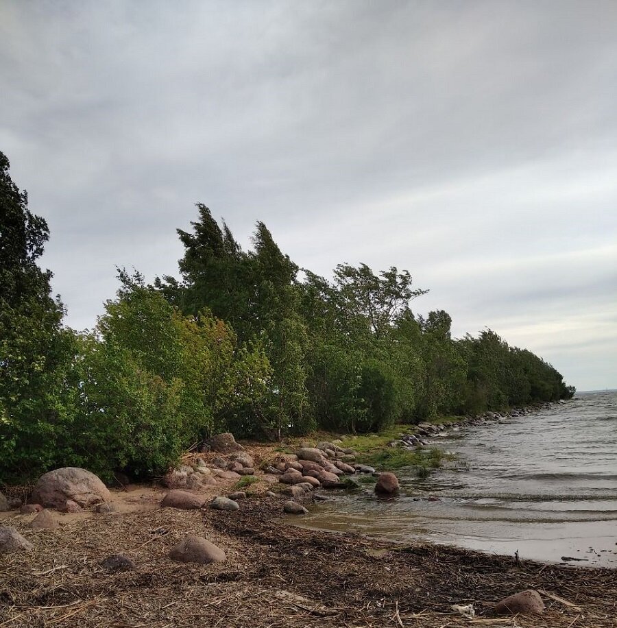 Лисий Нос: дачи модерн и заброшенный арсенал | Прогулки по Петербургу ...