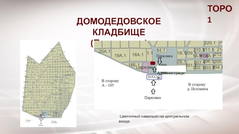 Домодедовское кладбище. Схема Домодедовского кладбища. Домодедовское кладбище схема могил. Домодедовское кладбище схема захоронений. План кладбища Домодедово.