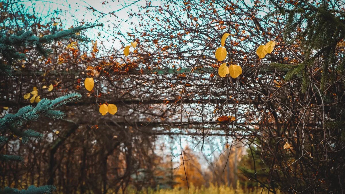     Октябрь принесет за собой заметное похолодание, указали авторы паблика «ВКонтакте».