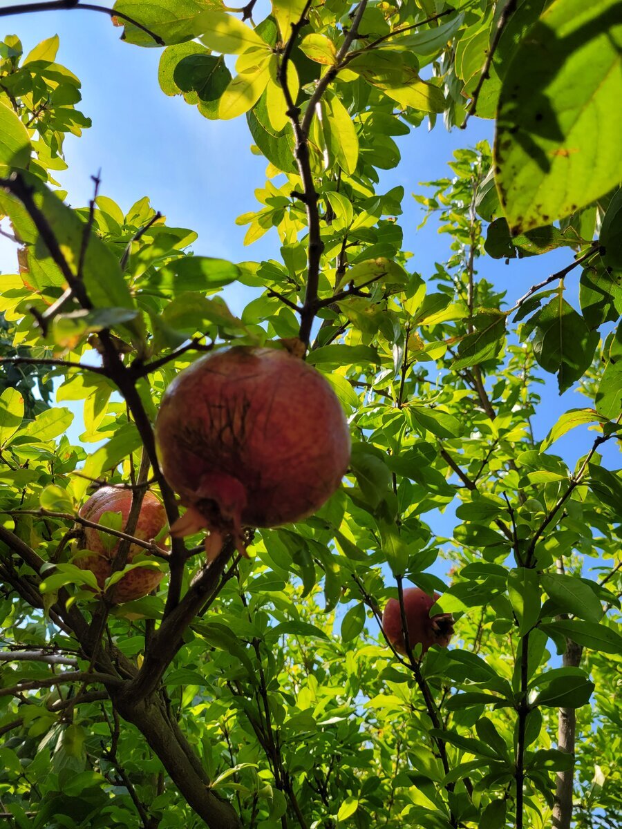 Фото канала Anna Seton.