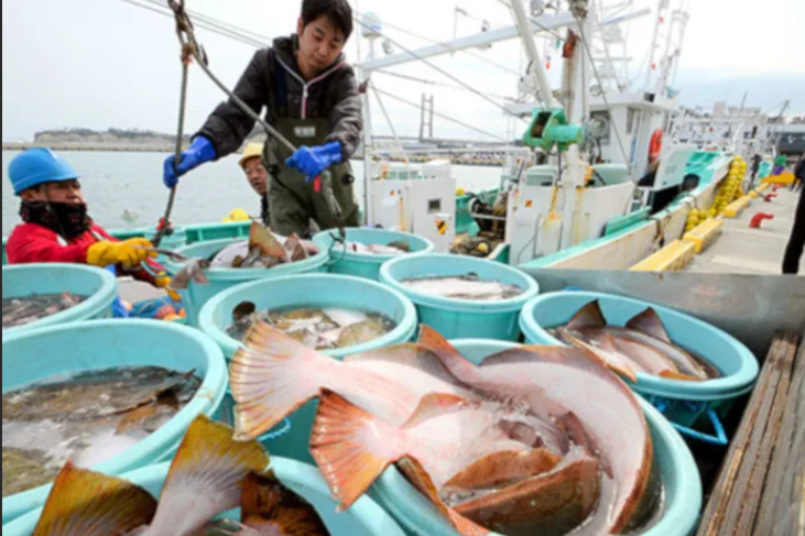 фото с сайта poplawok.ru