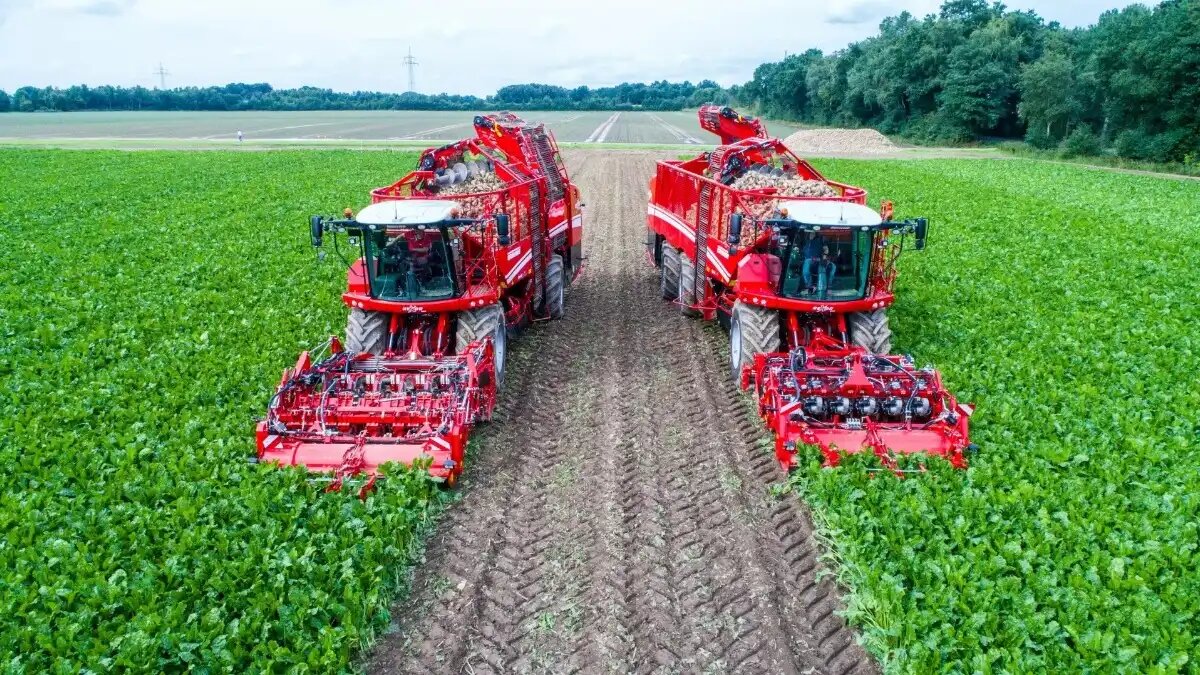 Фото: static.grimme.com Уборка сахарной свеклы свеклоуборочными комбайнами GRIMME