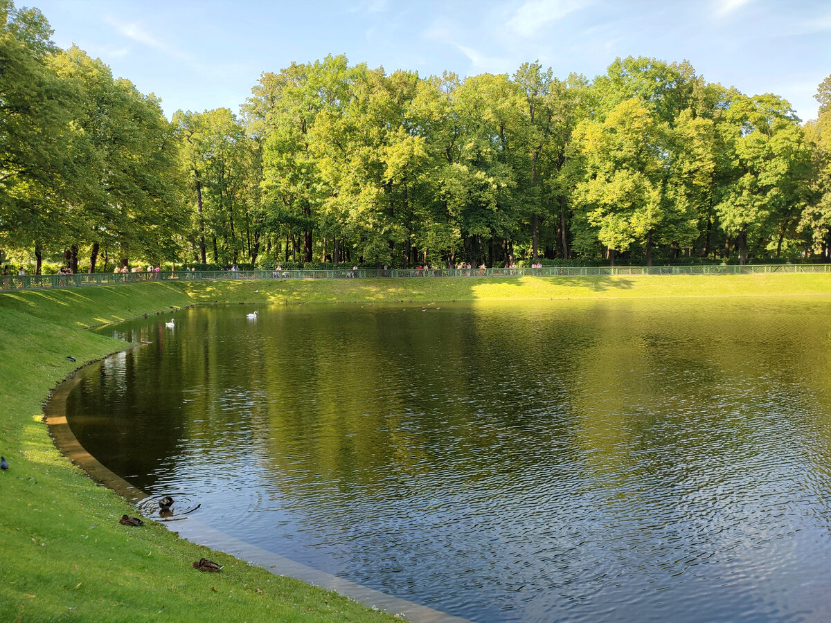 Карпиев пруд. Дата рождения 1714-1716 годы. При рождении имел в центре фонтан, а сейчас только лебедей. А карпов? 🤔