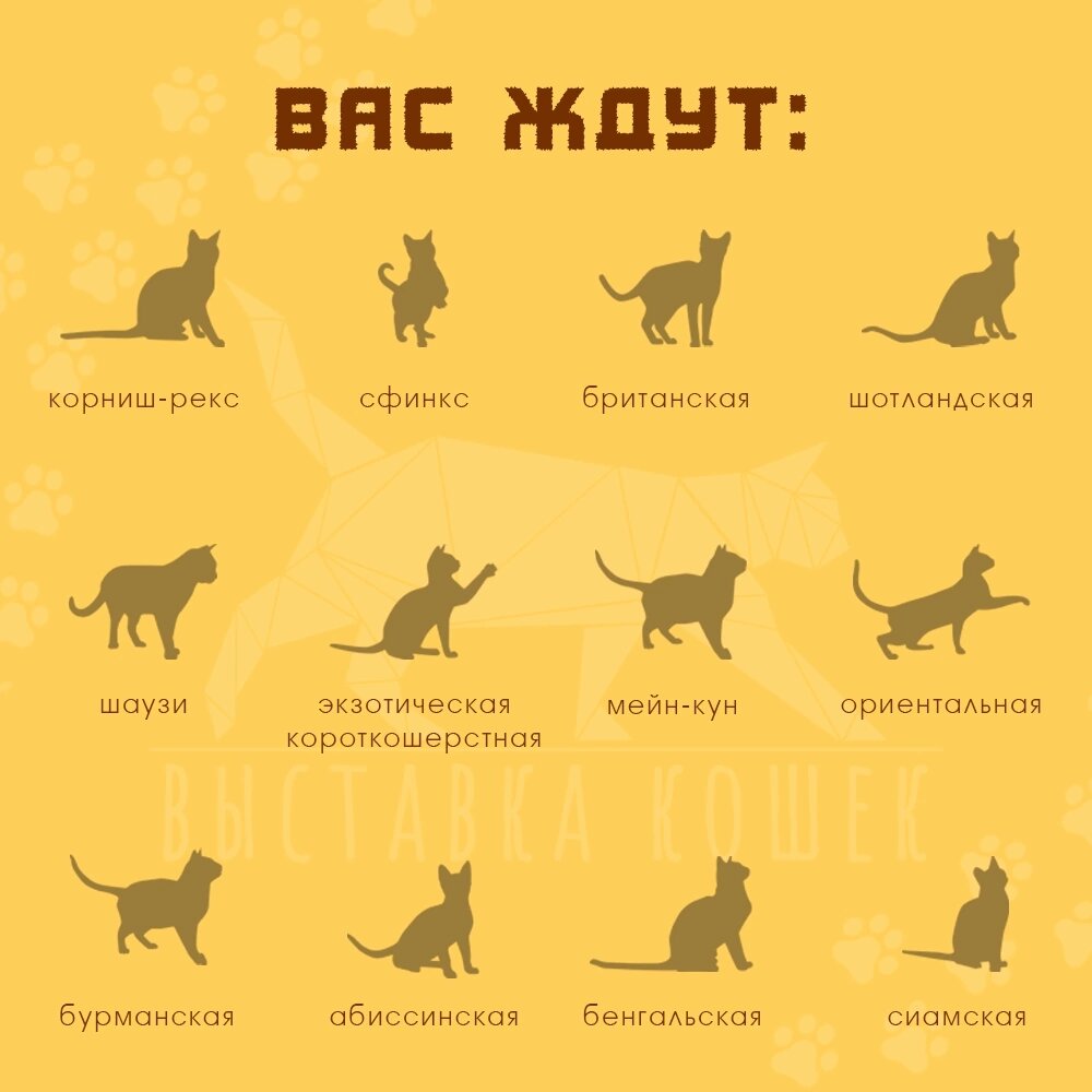 Фото из сообщества 